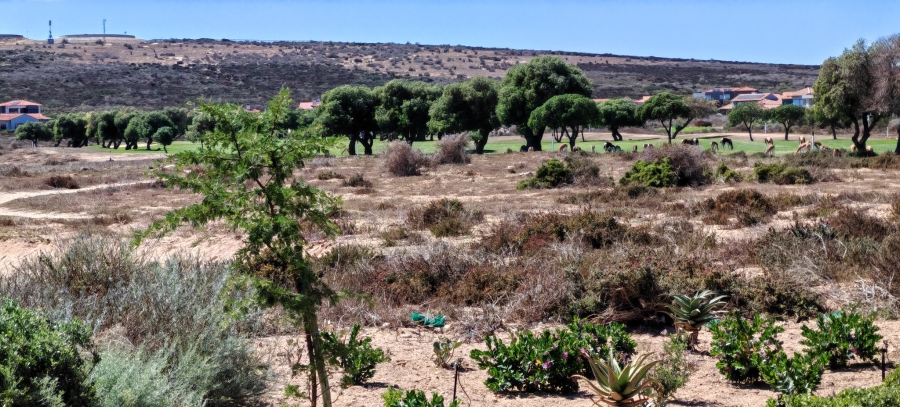 3 Bedroom Property for Sale in Langebaan Country Estate Western Cape